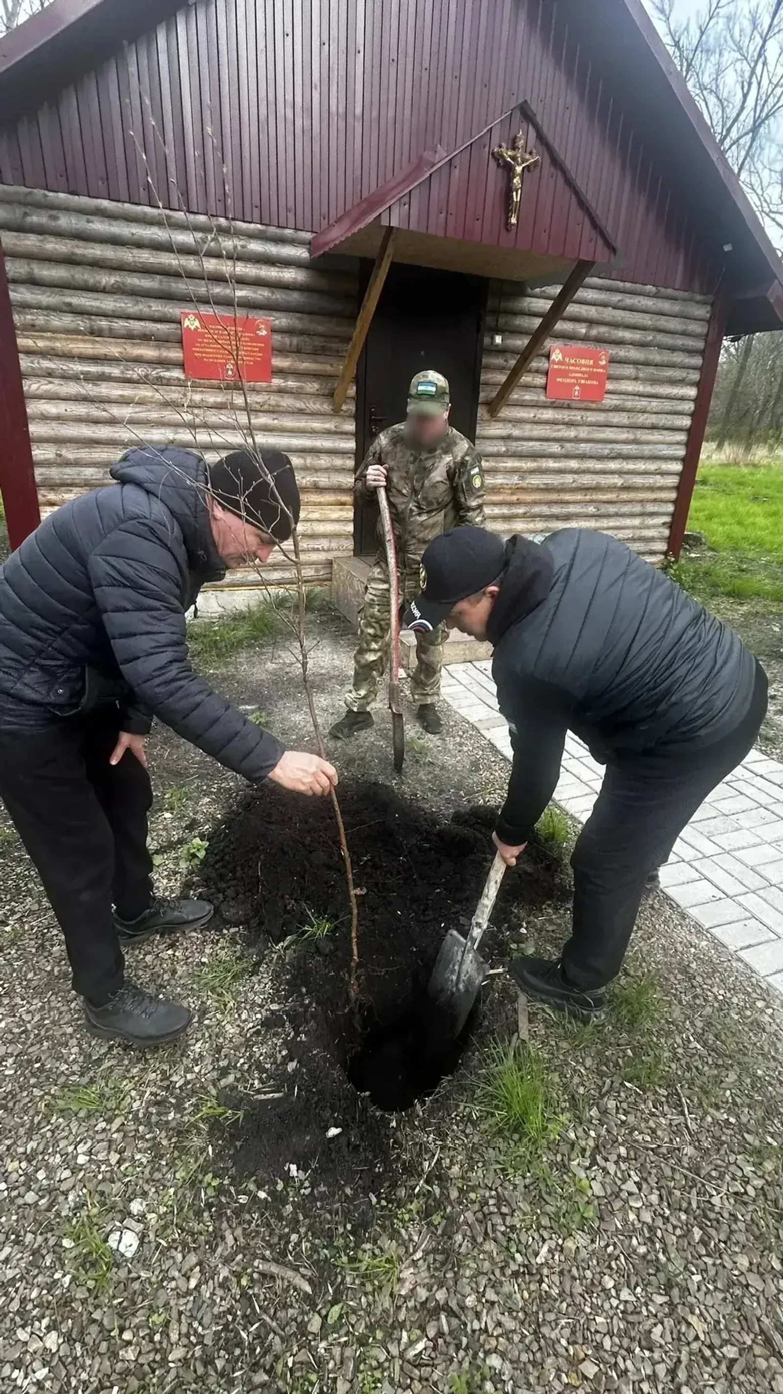Яфраклары яшел ак каенның...