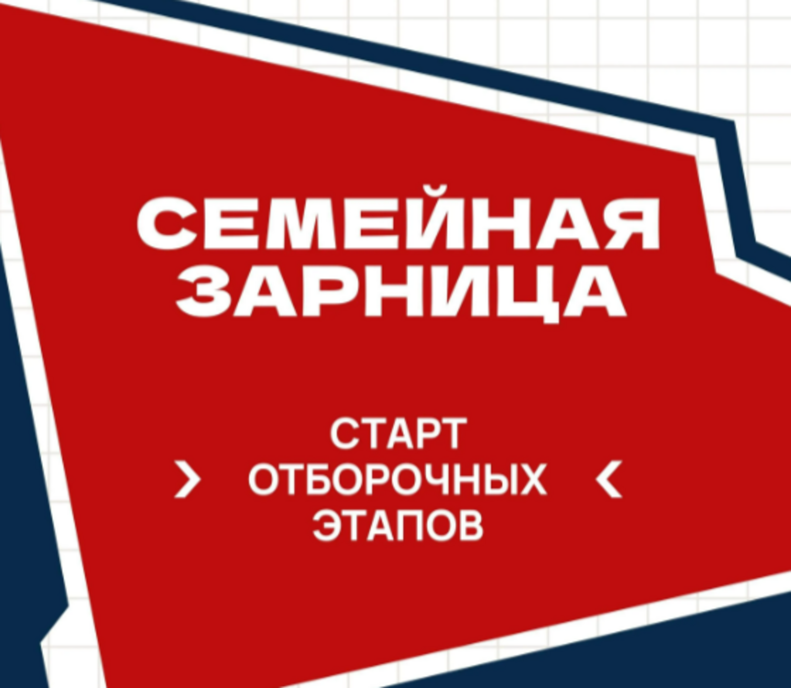 "Зарница"да катнашасызмы?