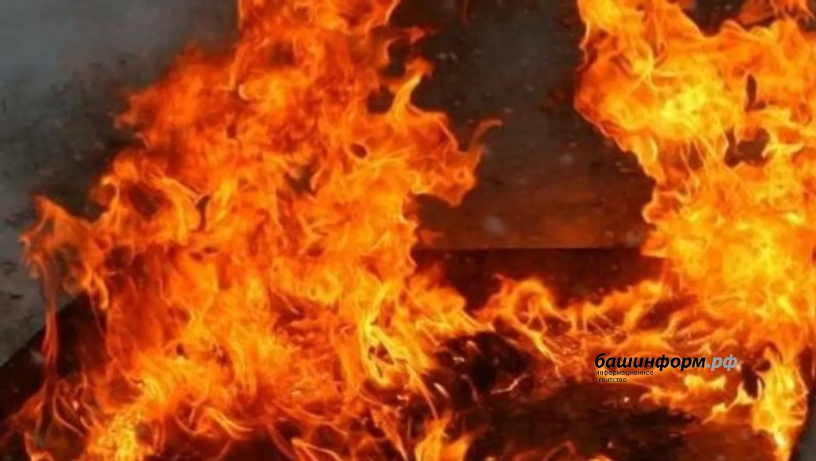 Элеккеге тормыш иптәше һәм ике баласы белән бергә йортны яндырырга теләгән