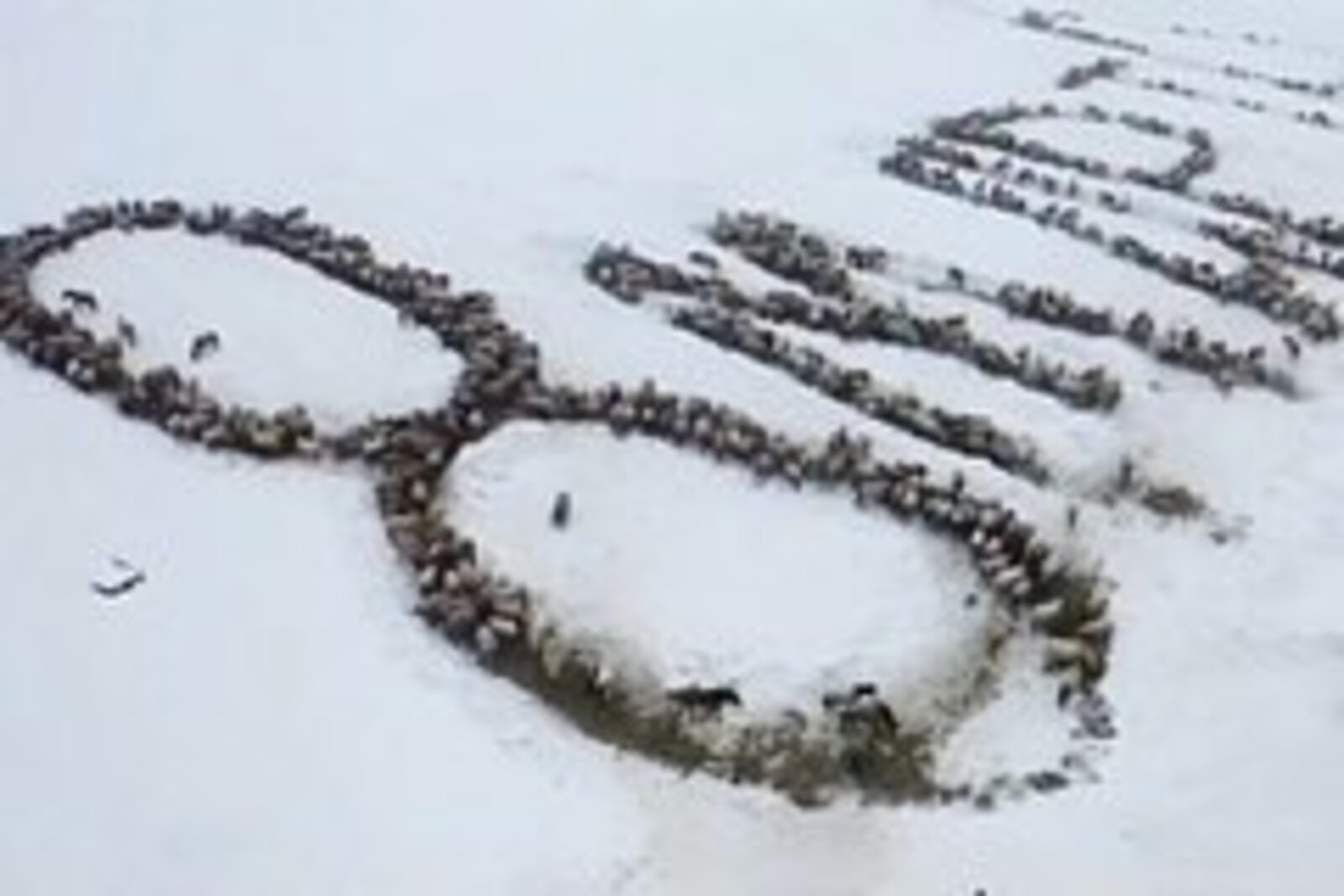 Булдыклы егет!