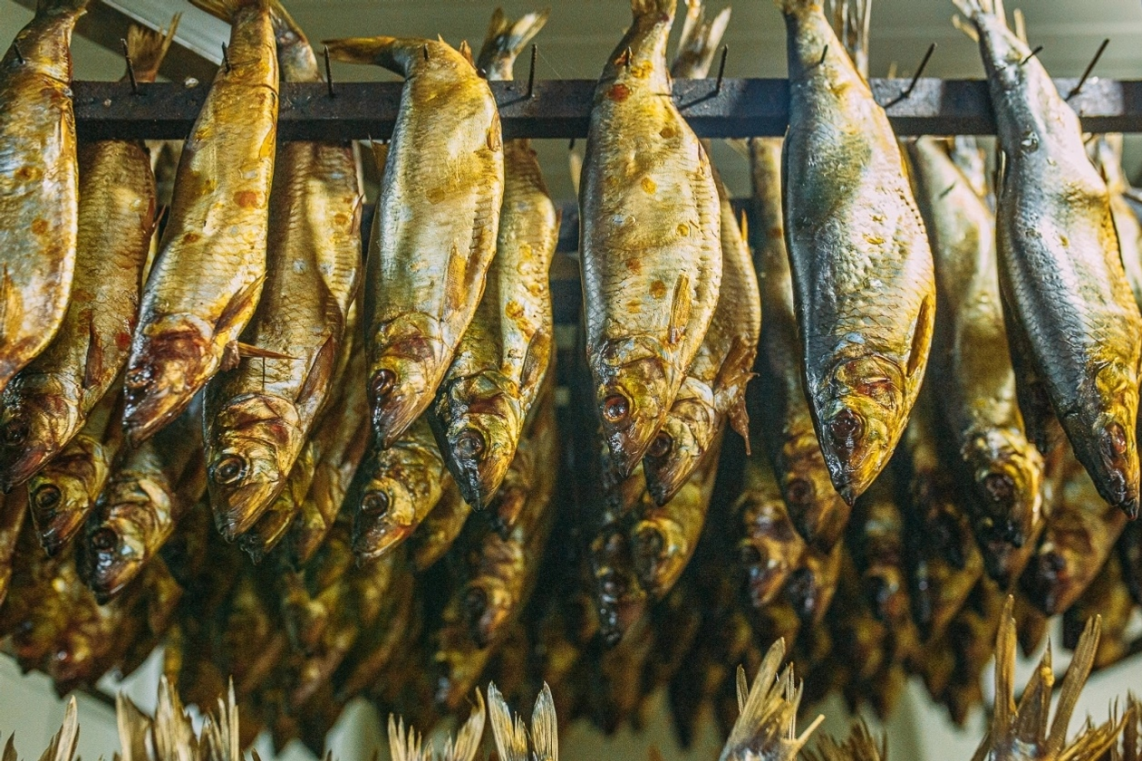 Интернет аша алган балык белән  агуланып үлгән