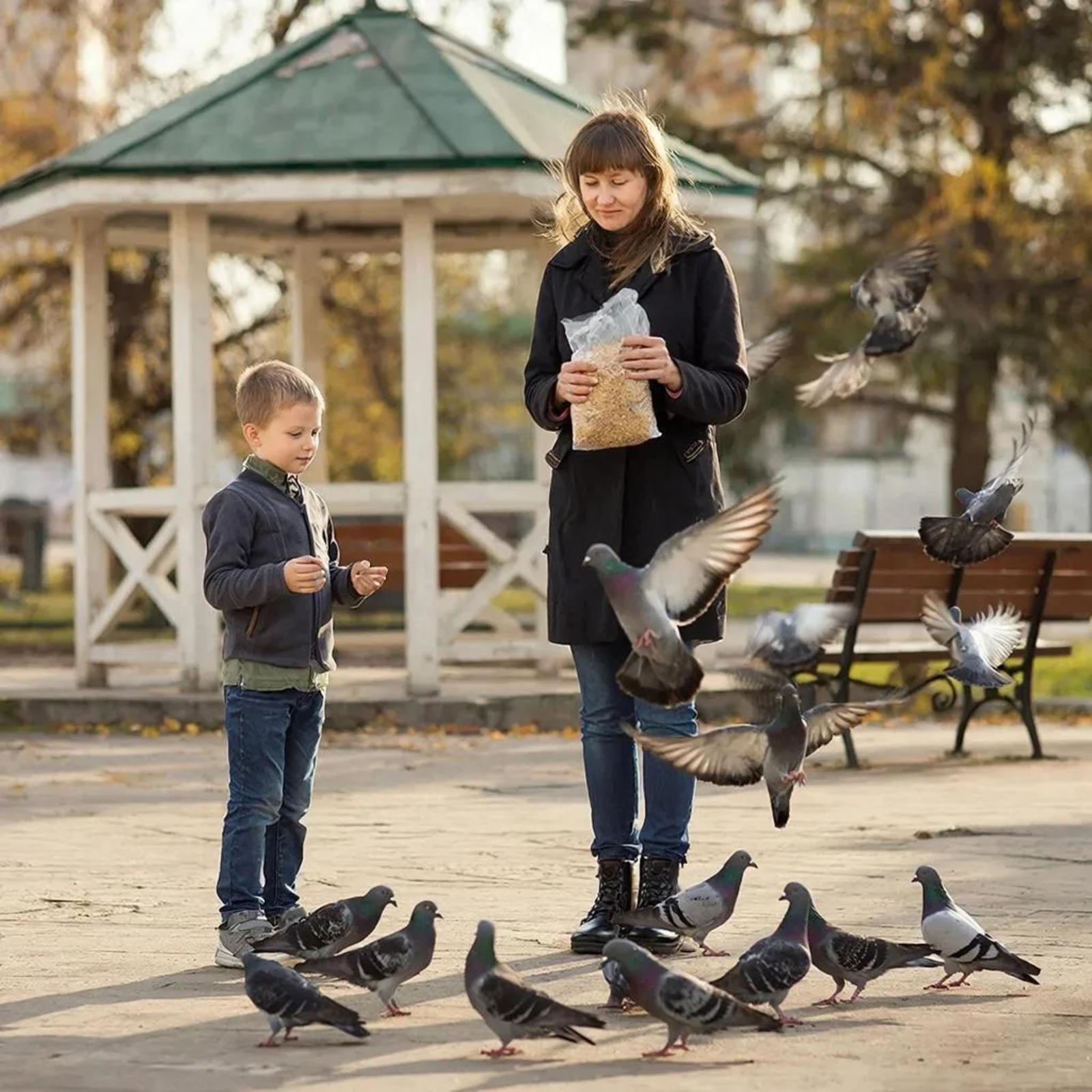 Күгәрченнәрне ашаткан өчен русиялеләргә өч мең сумга кадәр штраф яный