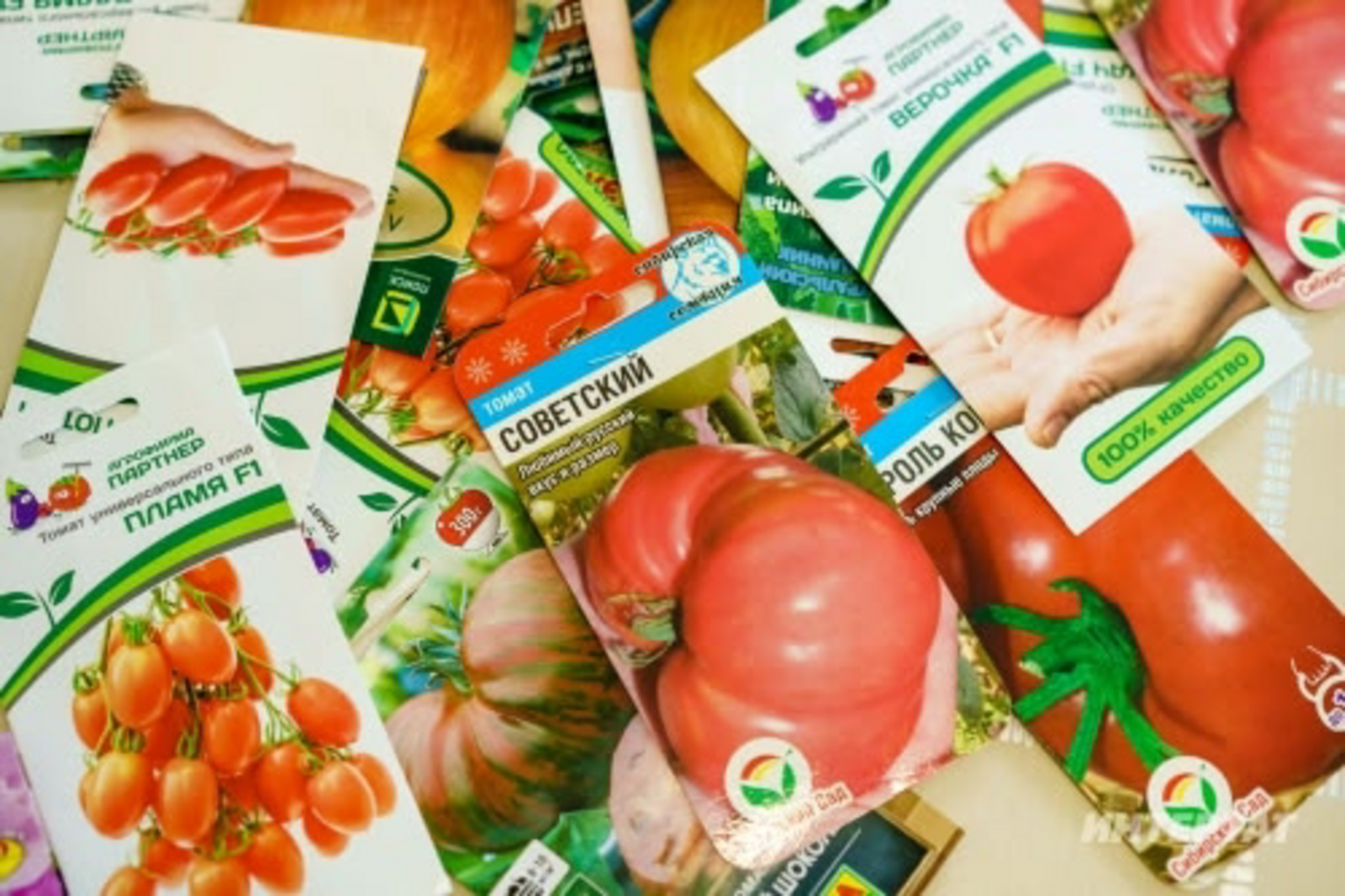 Маркетплейсларда ялган орлыкларга юлыкмас өчен киңәшләр