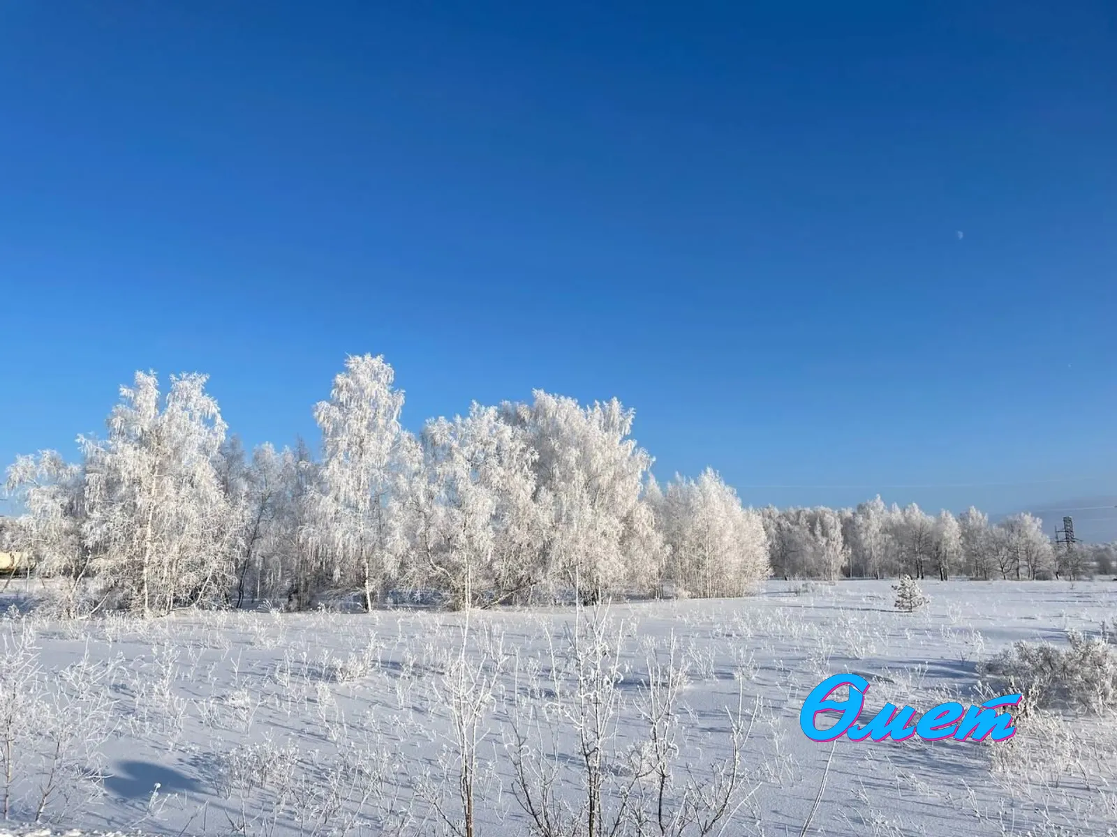 Язгөл Сафина