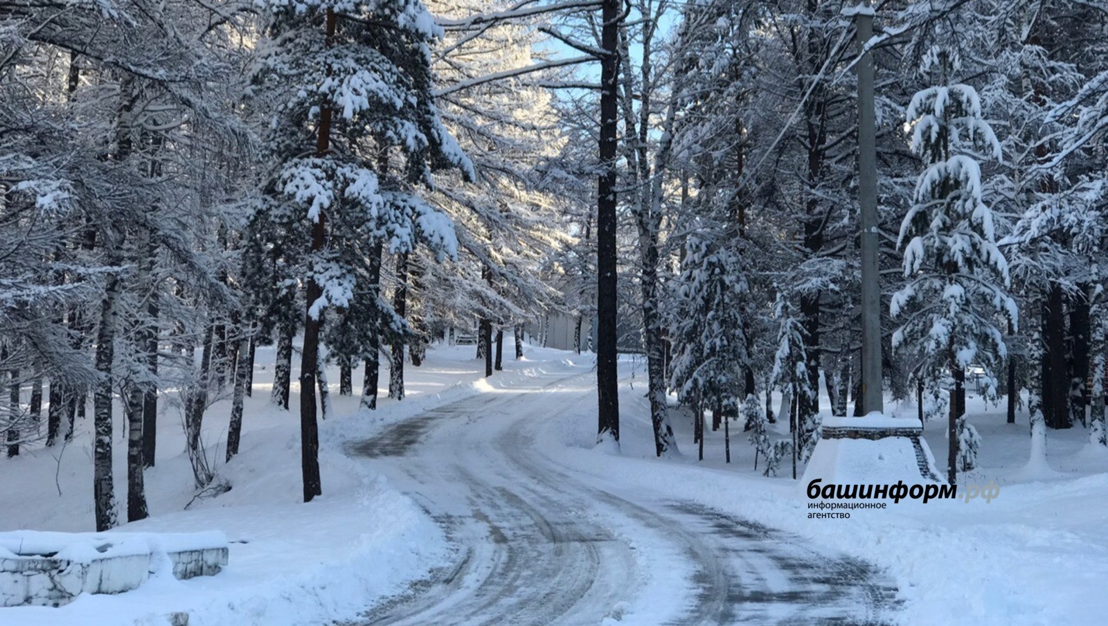 Башкортстанда кечкенә чаңгычы урманда туңып үлә язган