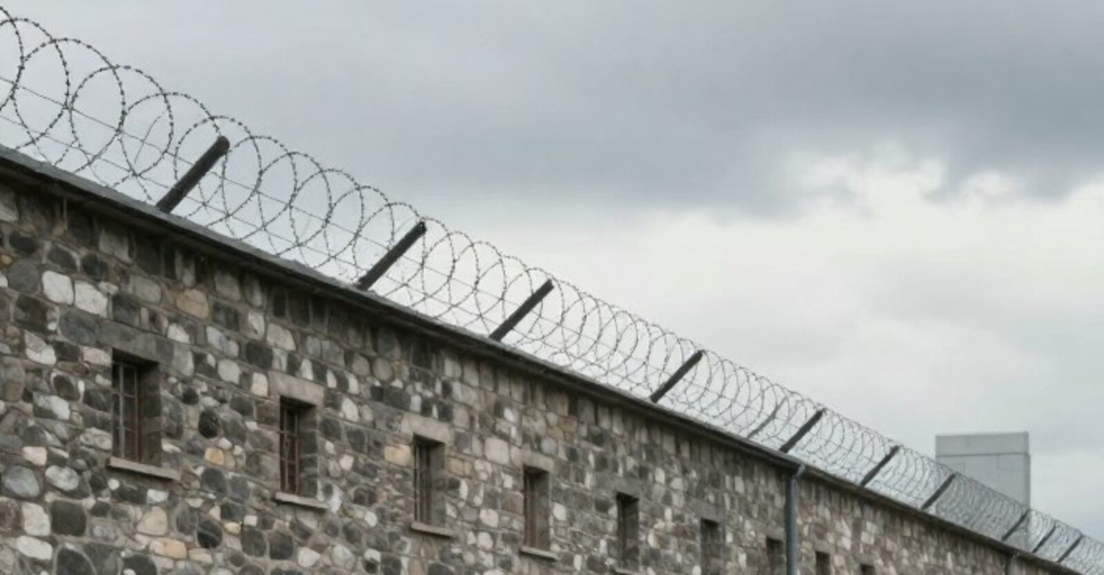 Ясалма акыл.