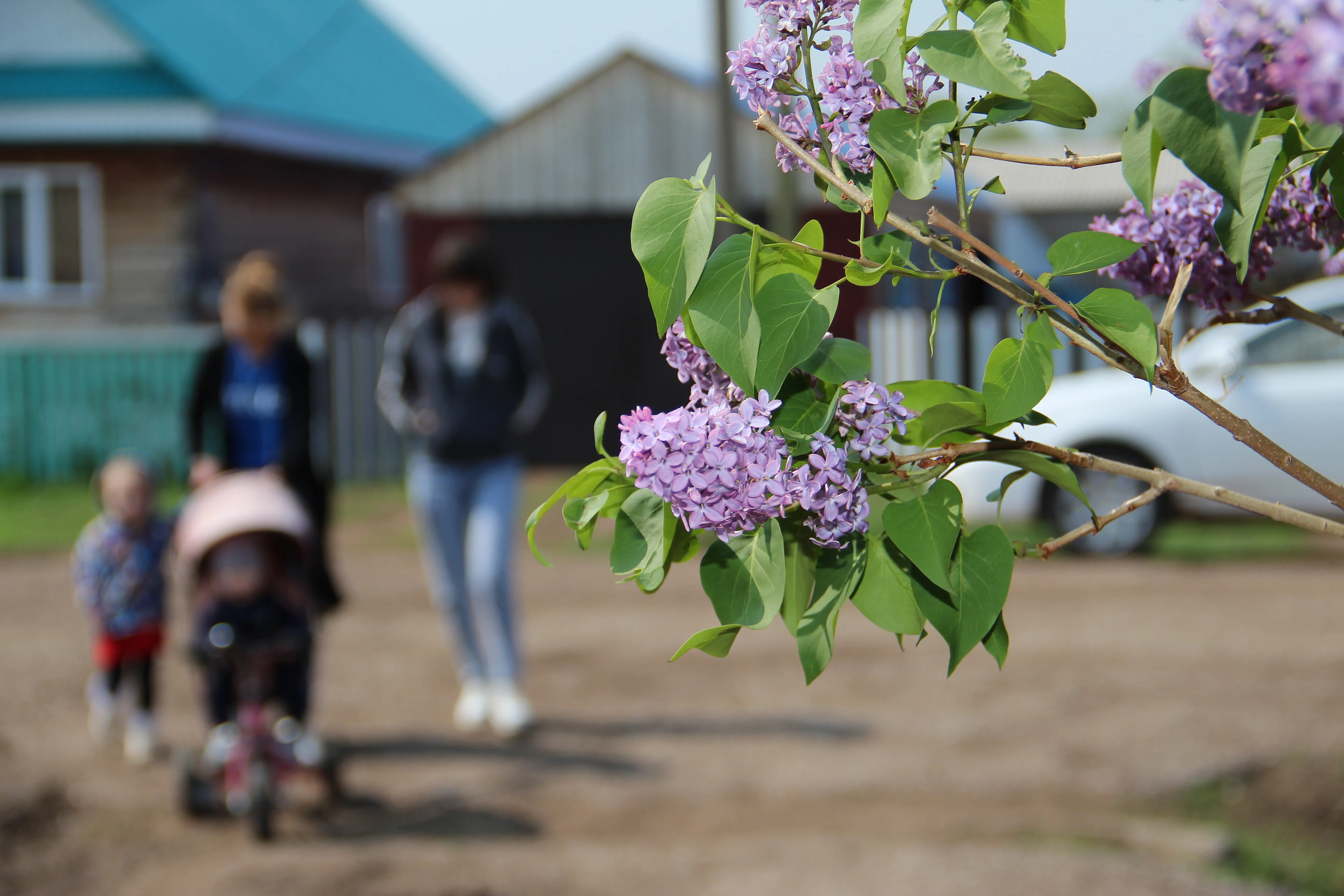 Дилбәр БУЛАТОВА. Көтәрмен, дигән идең… Повесть