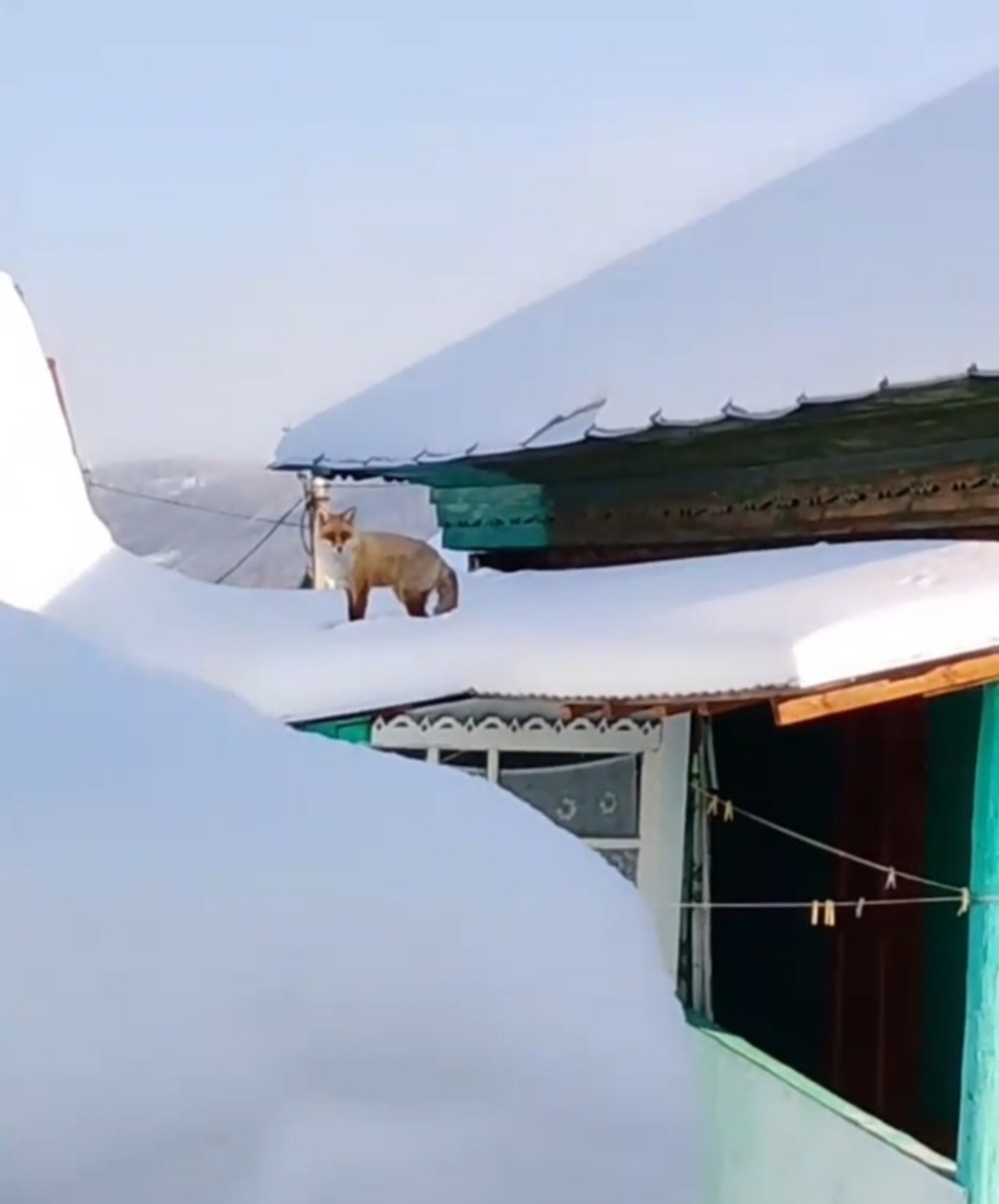 "Башинформ" агентлыгы видеосыннан скриншот.