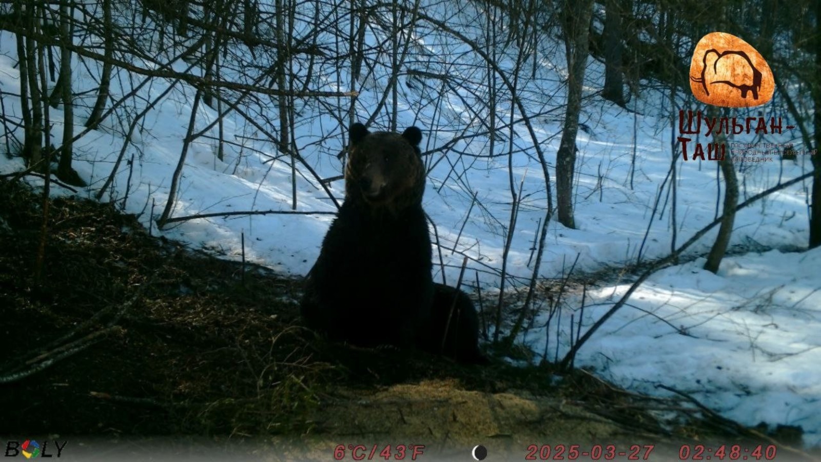 "Башкортстан" милли паркының Телеграм-каналыннан.