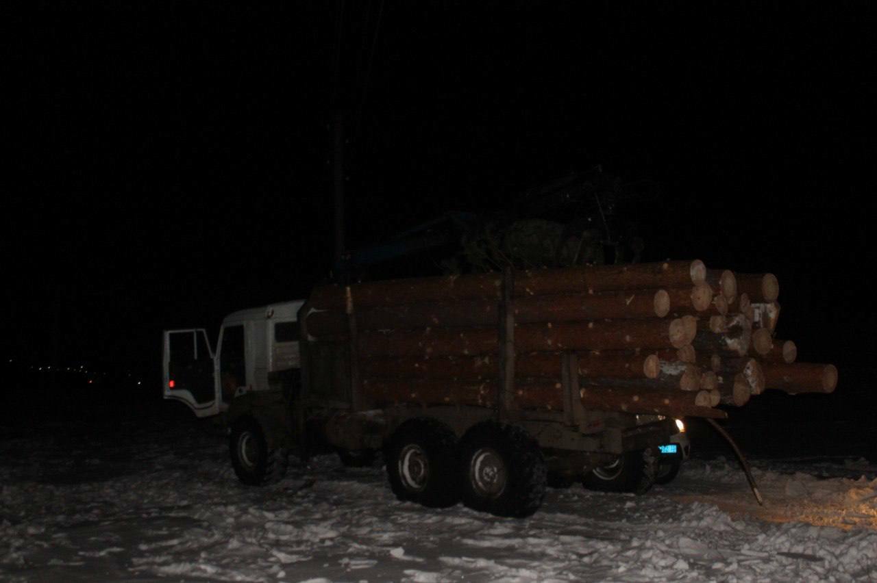 600 мең сумга законсыз рәвештә урман кискәннәр