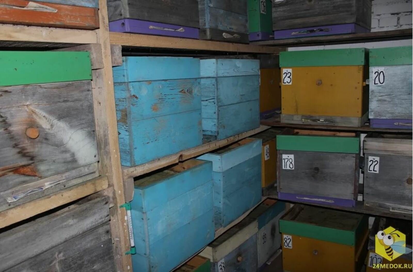 Умартачылар өчен киңәш-табыш: Декабрь һәм гыйнвар ае