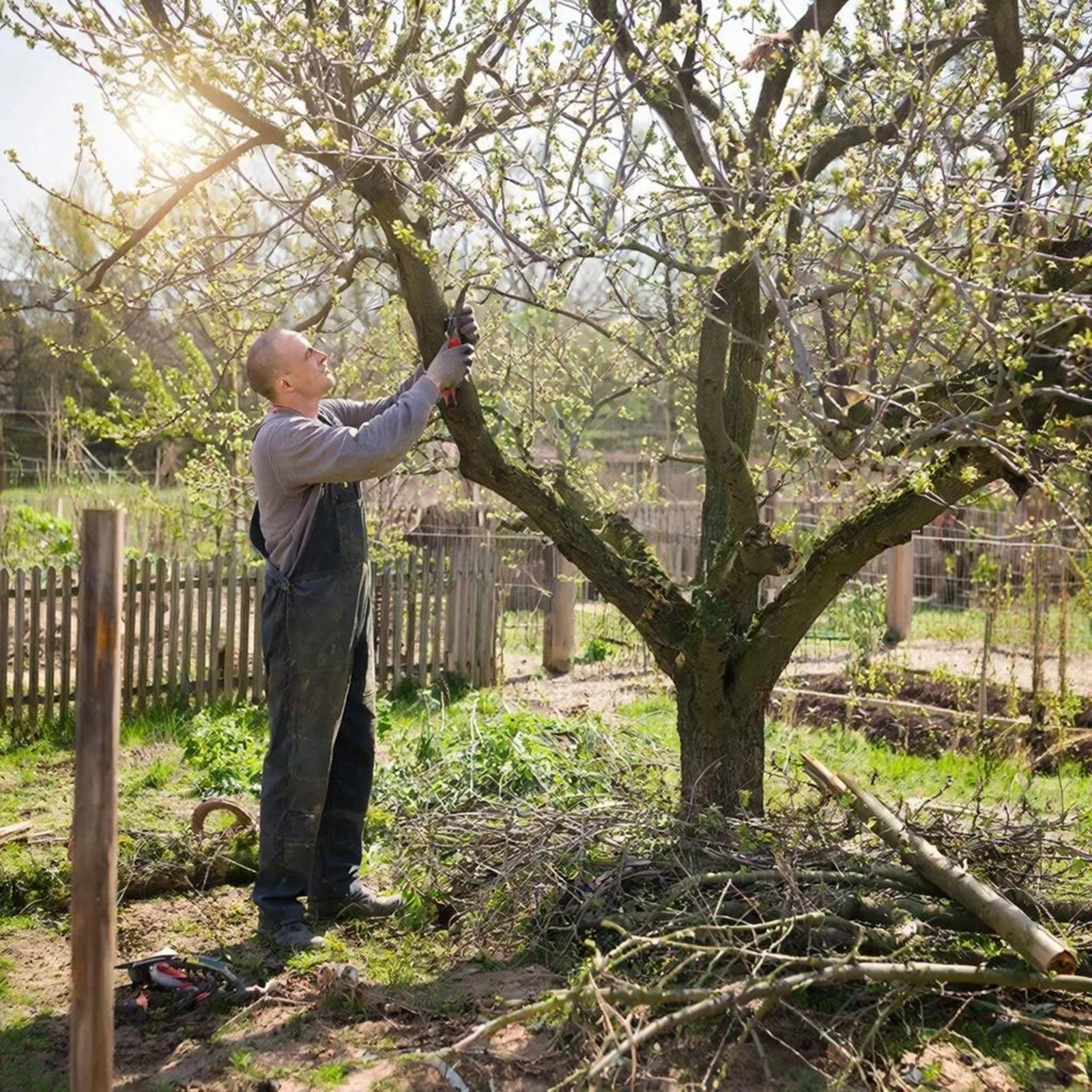 Язгы бакча эшлэре мартта башлана