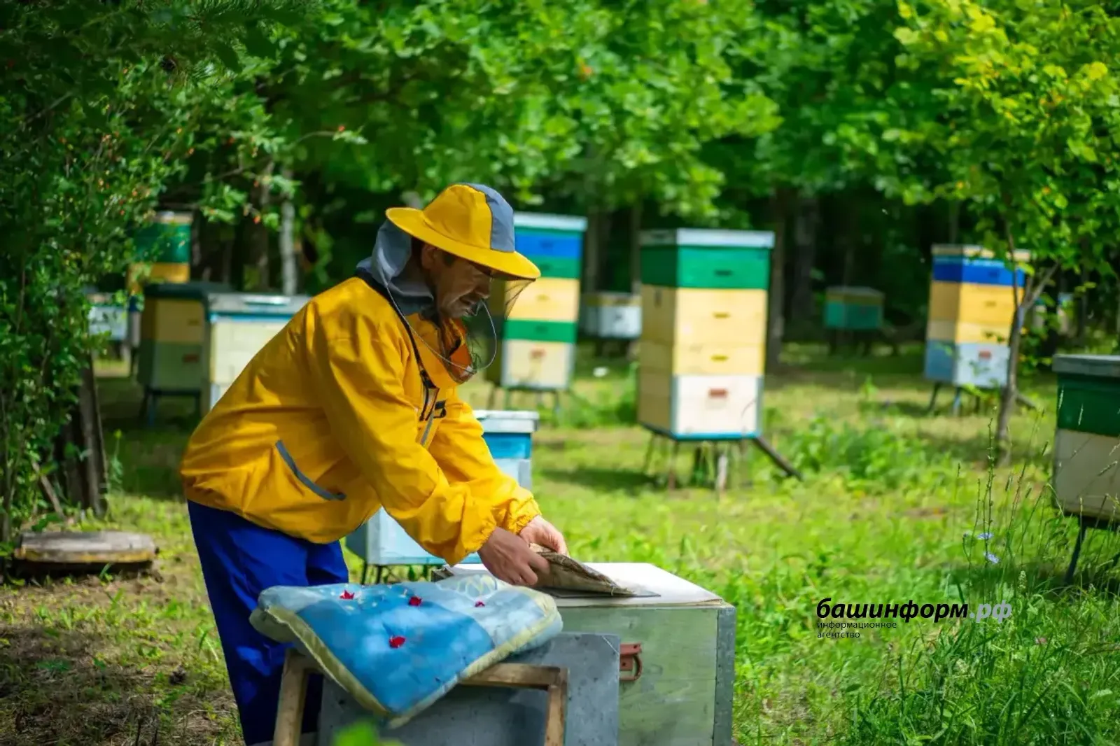 Башкортстан балын Сербиядә дә яраталар