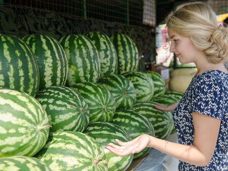 Бүген Карбыз көне: Бергәләп сайларга өйрәник