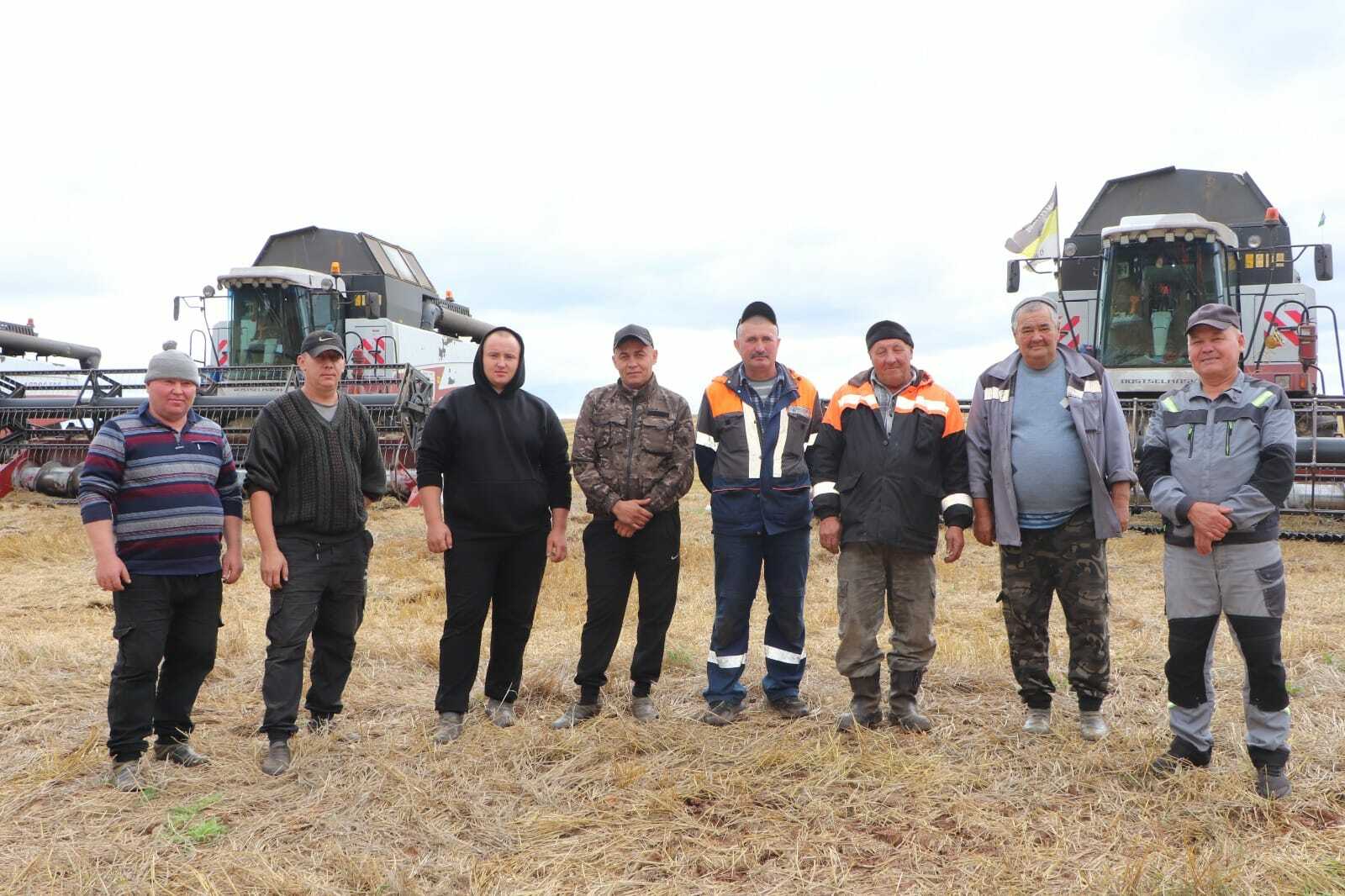 Республикада кызу урак өсте