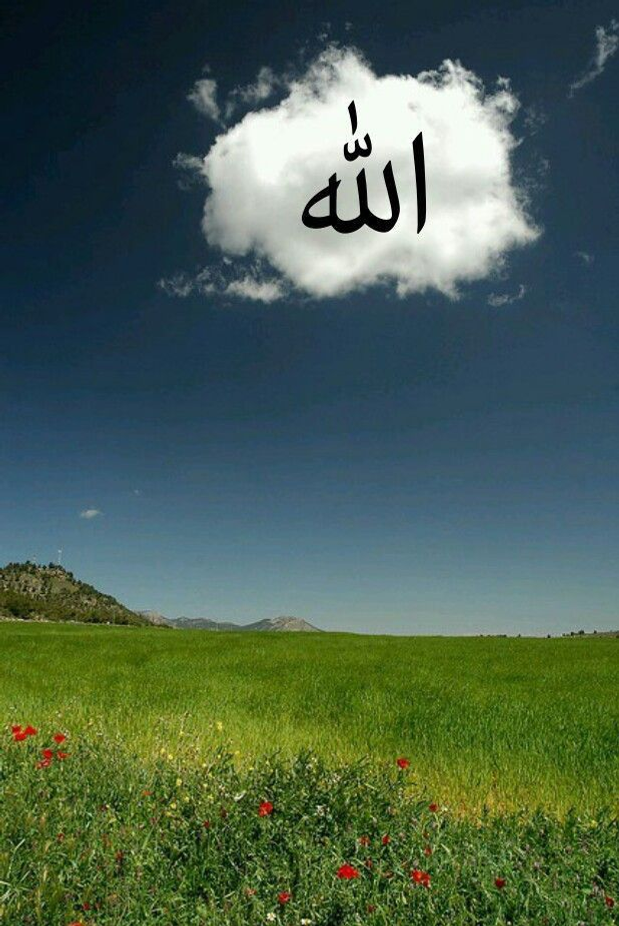 Каргыш җиде буынга кадәр төшәме?