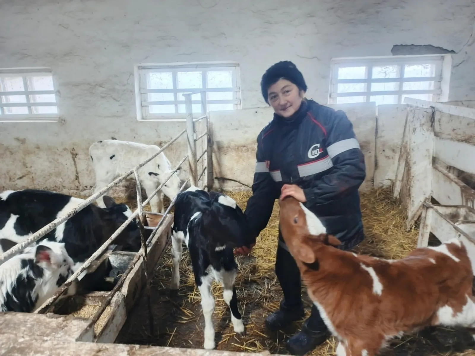 Башкортстанда “ике йөрәкле” бозау туган