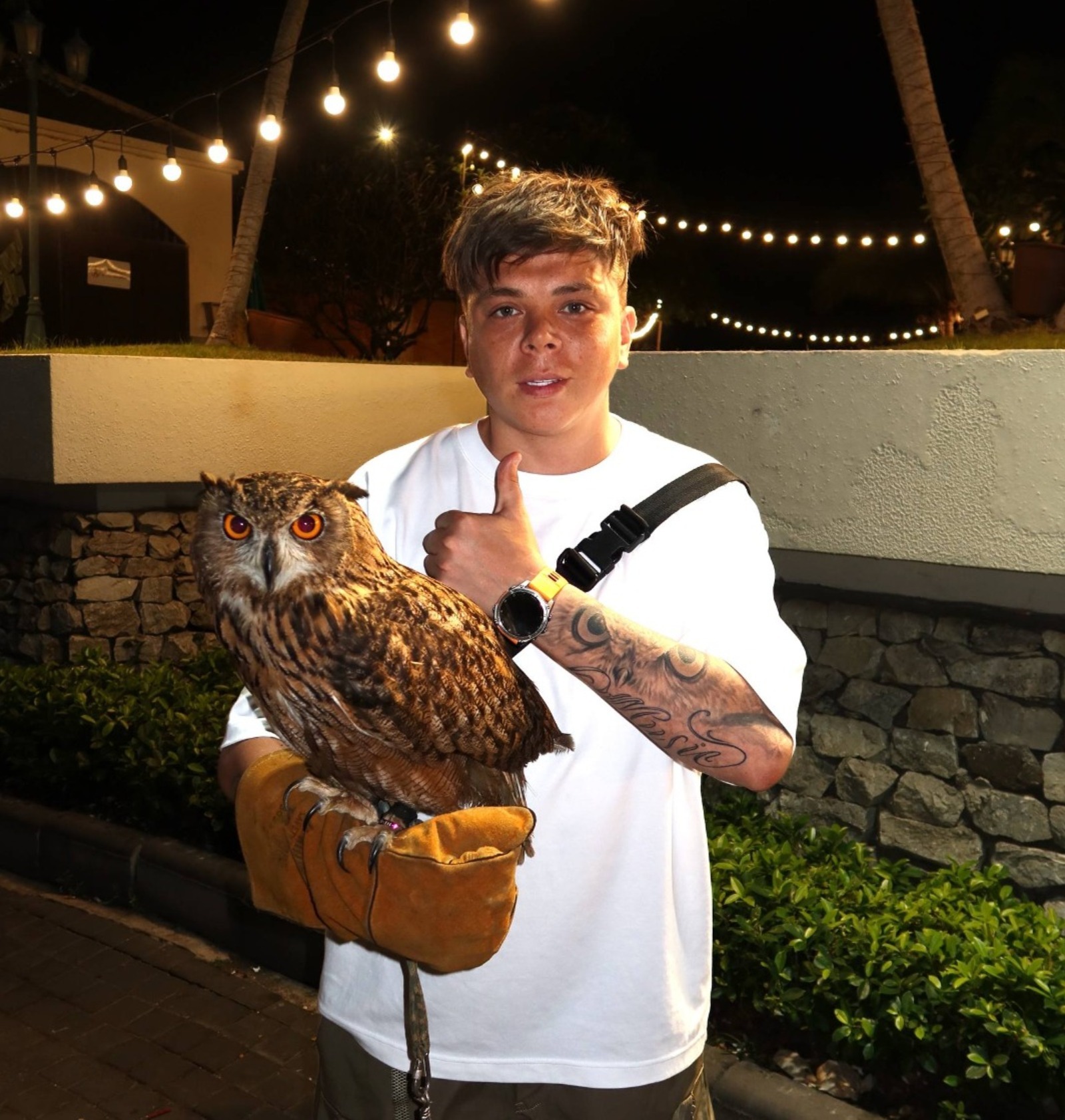 Элвин Грейның талисманын беләсезме?