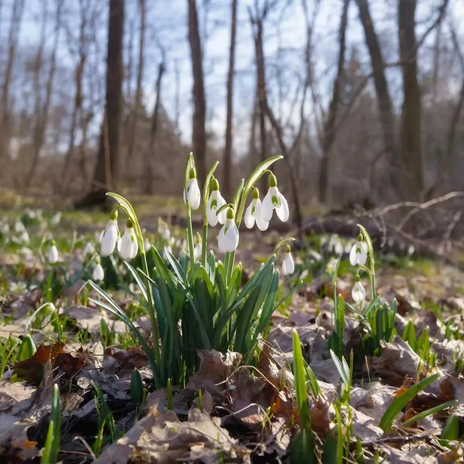 Тагын +20° кадәр җылытачак